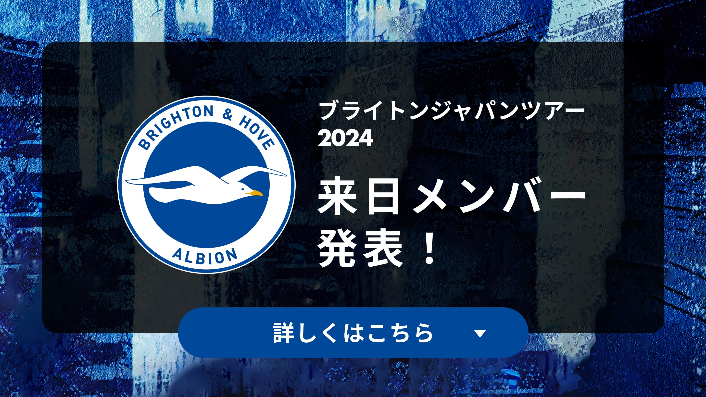 ブライトン＆ホーヴ・アルビオン・ジャパンツアー2024／第2試合 vs.東京ヴェルディ